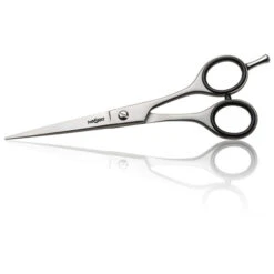 Ciseaux De Coupe Acier Iwasaki 5"